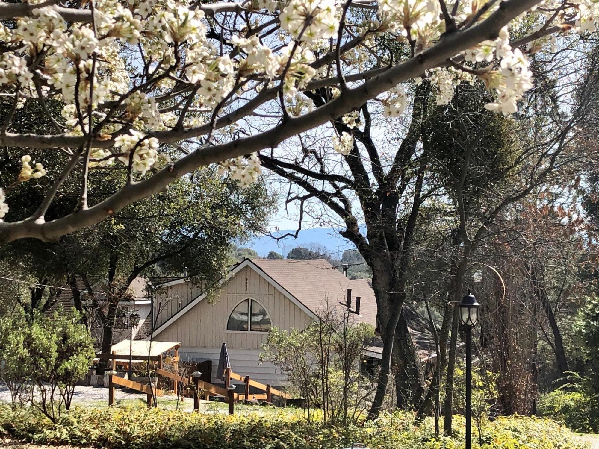 Sierra Mountain Lodge - Vacation Rentals - Yosemite Ahwahnee Exterior photo